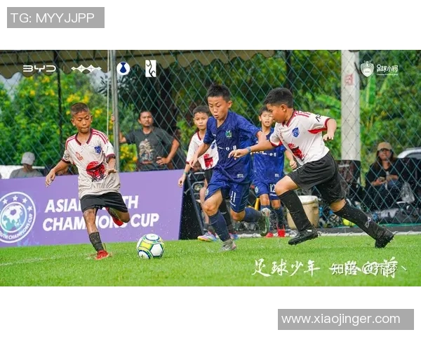 房宁足球：探索中国足球新风潮与青训体系的未来发展之路