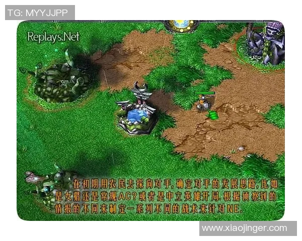 英雄联盟战队WE灵活性分析与战术适应能力探讨