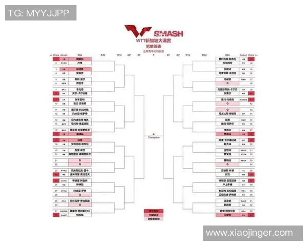 深圳乒乓球队在精英赛中的耐力表现分析与启示