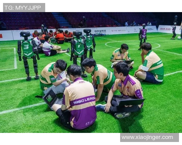 生存足球:在逆境中拼搏的精神与团队合作的力量 生存足球:在逆境中拼搏的精神与团队合作的力量