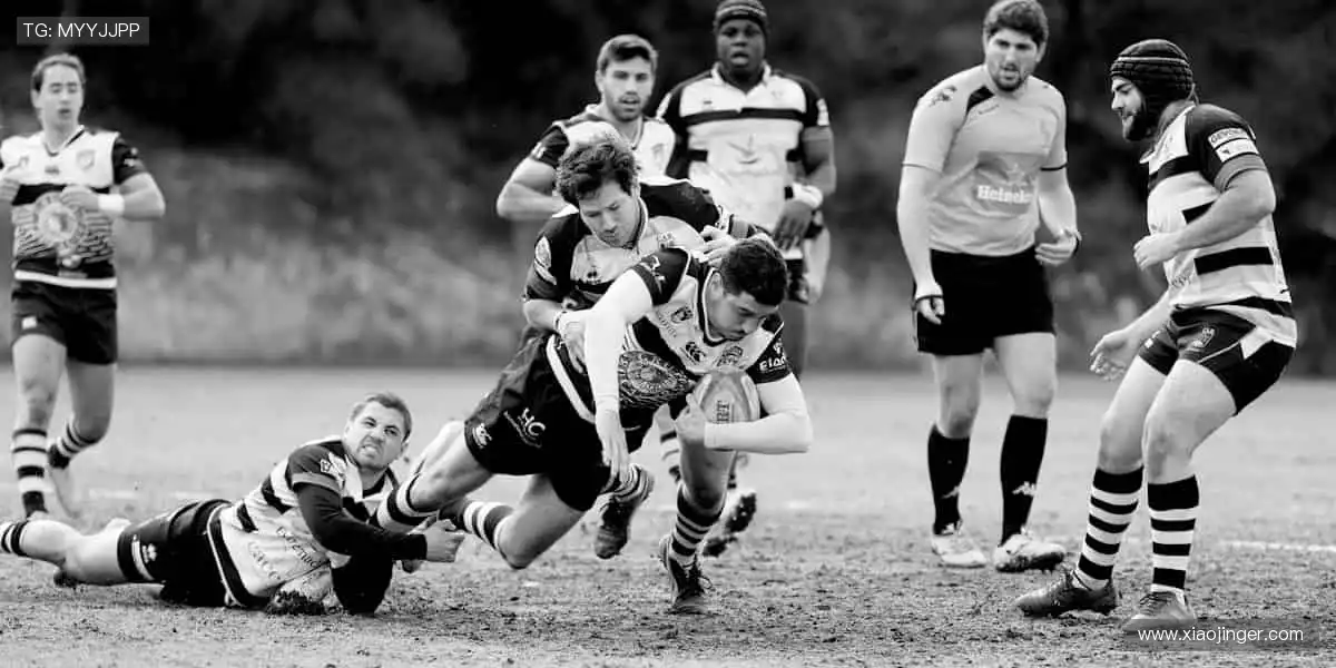 随时随地，直击赛场！📱🎯