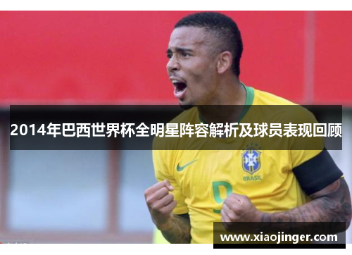 2014年巴西世界杯全明星阵容解析及球员表现回顾