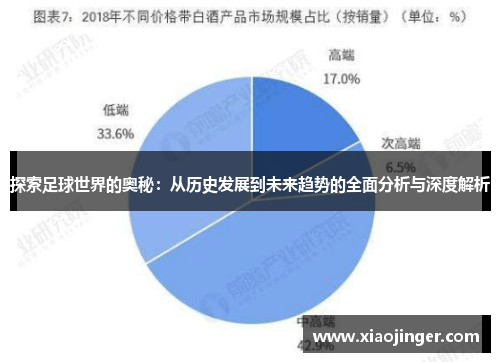 探索足球世界的奥秘：从历史发展到未来趋势的全面分析与深度解析