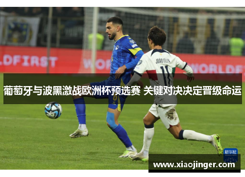 葡萄牙与波黑激战欧洲杯预选赛 关键对决决定晋级命运