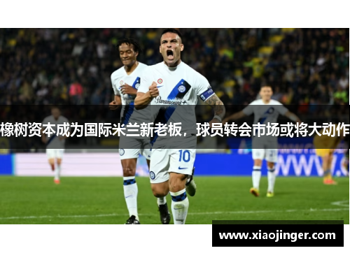 橡树资本成为国际米兰新老板，球员转会市场或将大动作