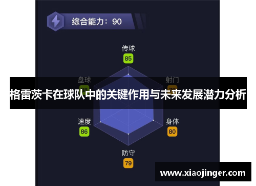 格雷茨卡在球队中的关键作用与未来发展潜力分析